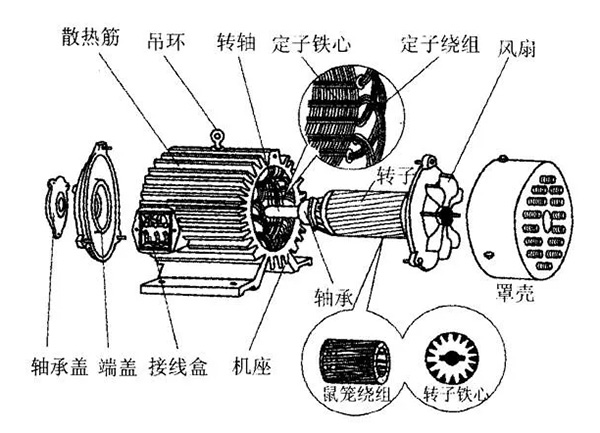 三相異步電動(dòng)機(jī)的六種分類(lèi)方法及具體分類(lèi)。